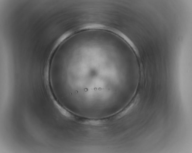 X0000113901245200909241431