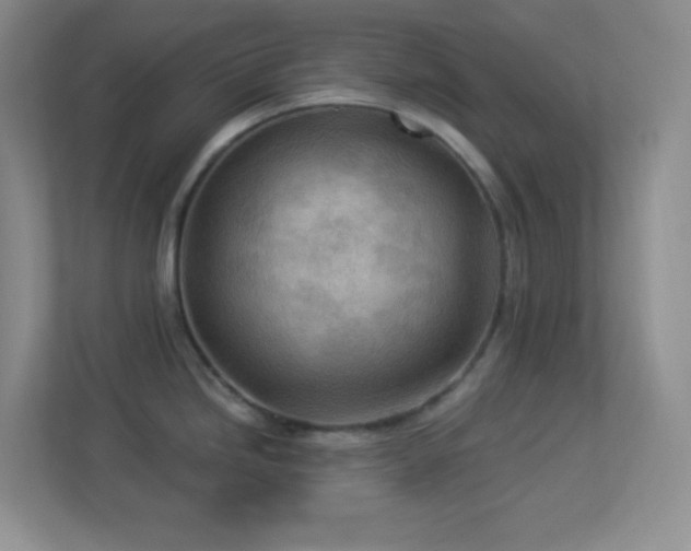 X0000113901246200909241431