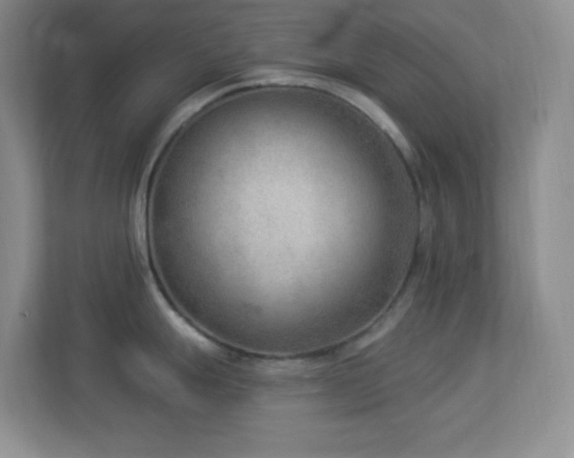 X0000113901247200909241431