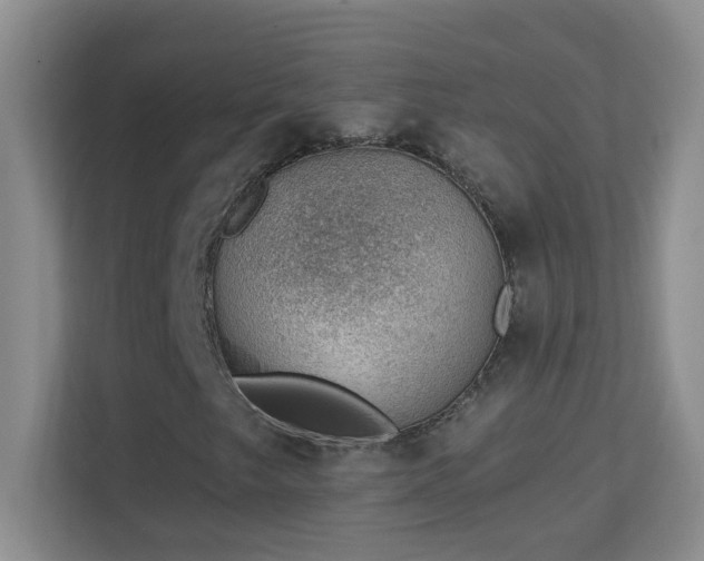 X0000113901249200909241430