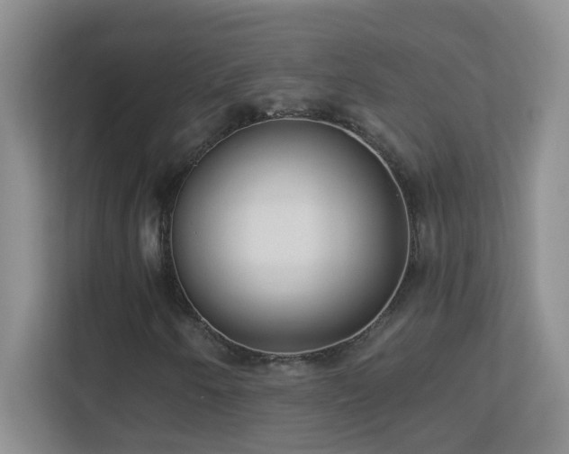 X0000113901250200909241430