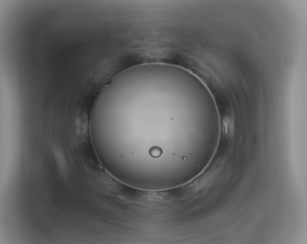 X0000113901251200909241430