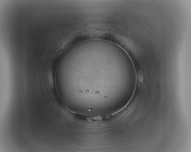 X0000113901252200909241430