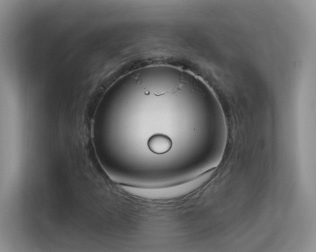 X0000113901253200909241430