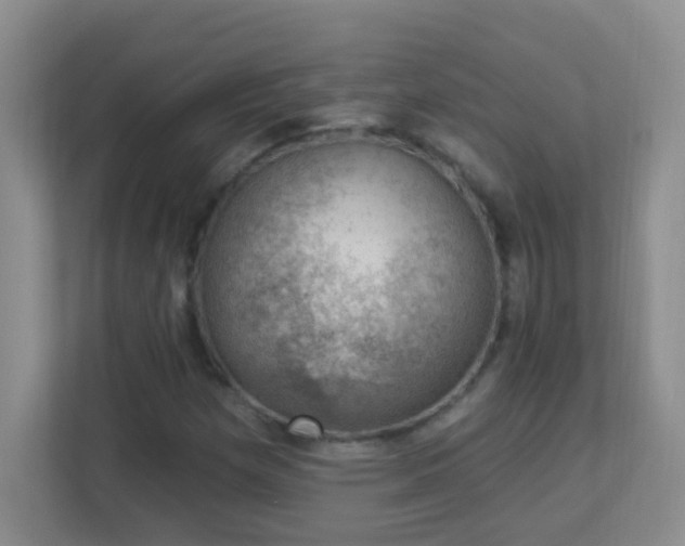 X0000113901257200909241430