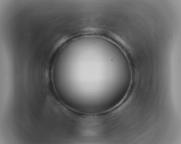 X0000113901259200909241430