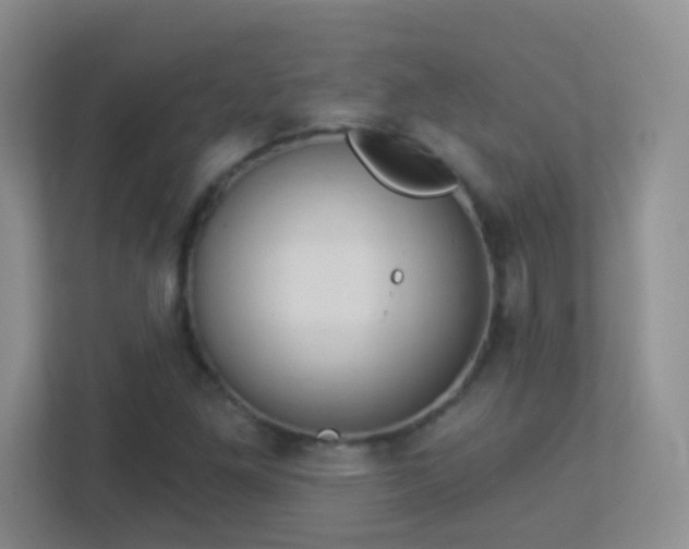 X0000113901261200909241430