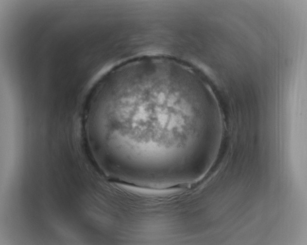 X0000113901263200909241430