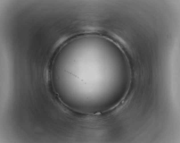 X0000113901267200909241430