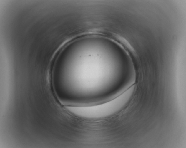 X0000113901268200909241430