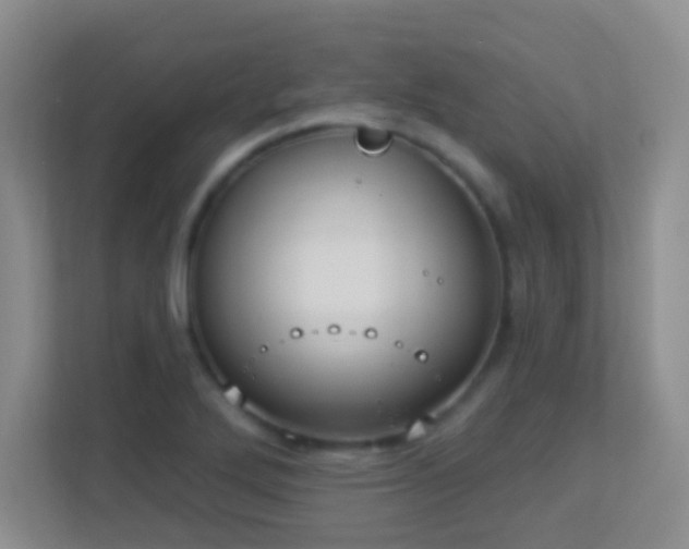 X0000113901272200909241430
