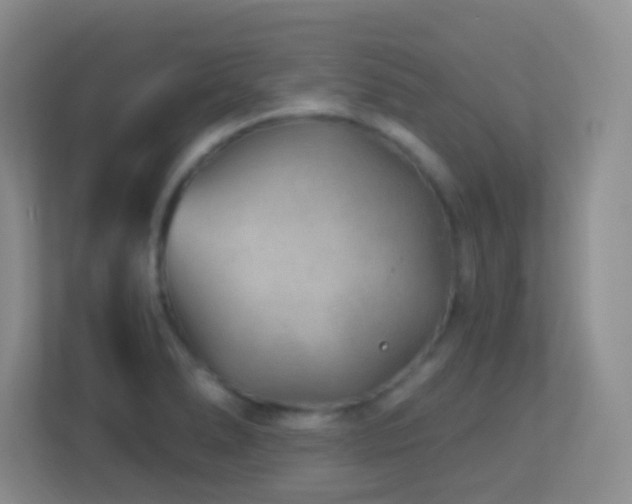 X0000113901278200909241430