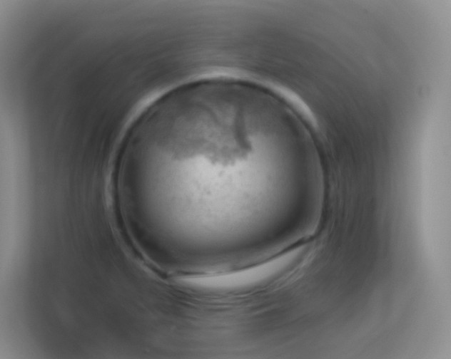 X0000113901279200909241430