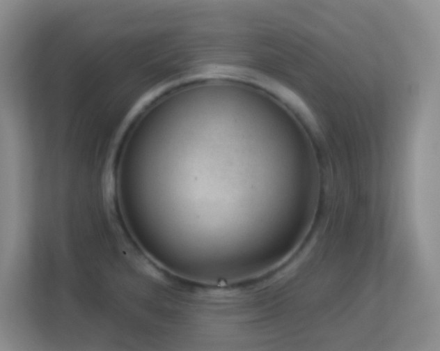 X0000113901280200909241430