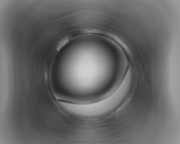 X0000113901281200909241430