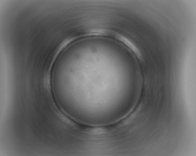 X0000113901283200909241430