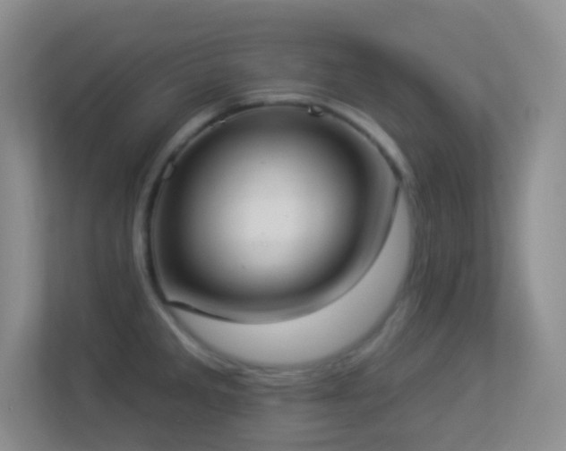 X0000113901285200909241430