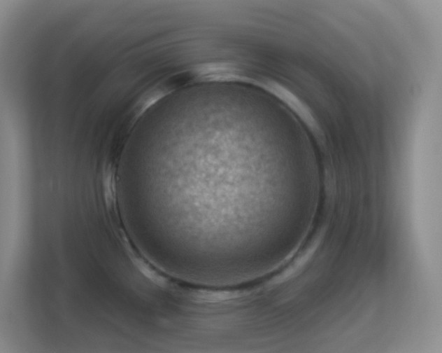 X0000113901289200909241430