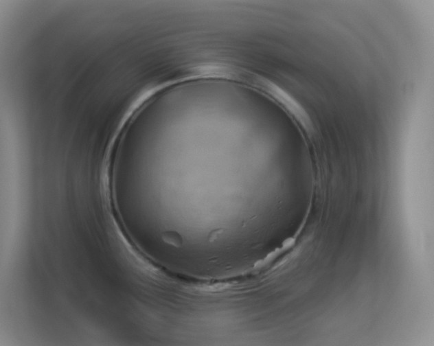 X0000113901291200909241430