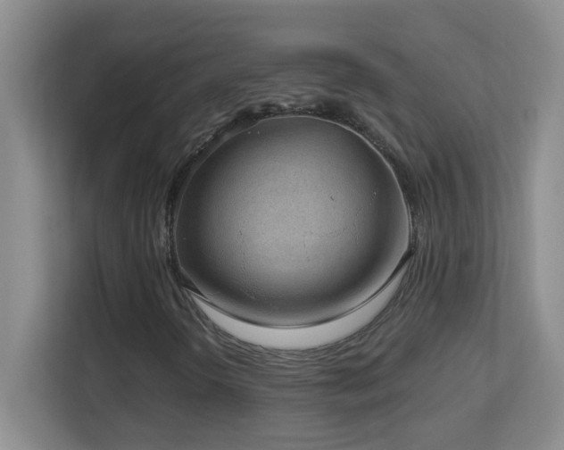 X0000113901298200909241429