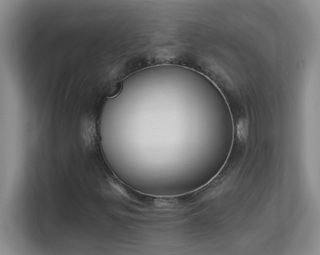 X0000113901299200909241429