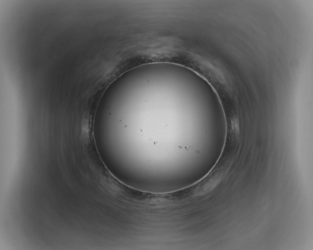 X0000113901300200909241429
