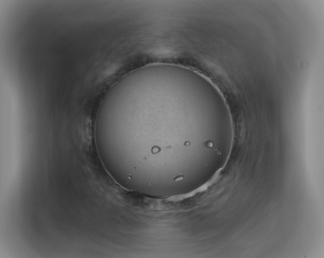 X0000113901301200909241429