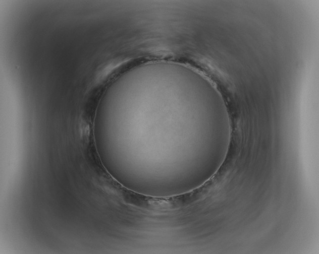 X0000113901302200909241429