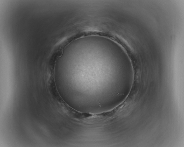 X0000113901303200909241429