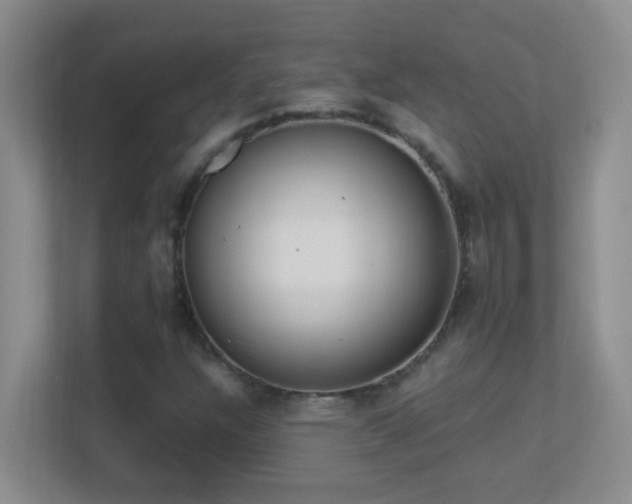 X0000113901304200909241429