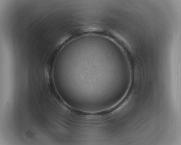 X0000113901305200909241429