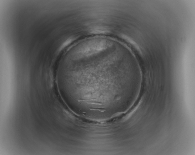 X0000113901306200909241429