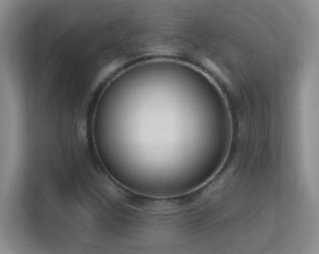 X0000113901307200909241429