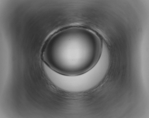 X0000113901308200909241429