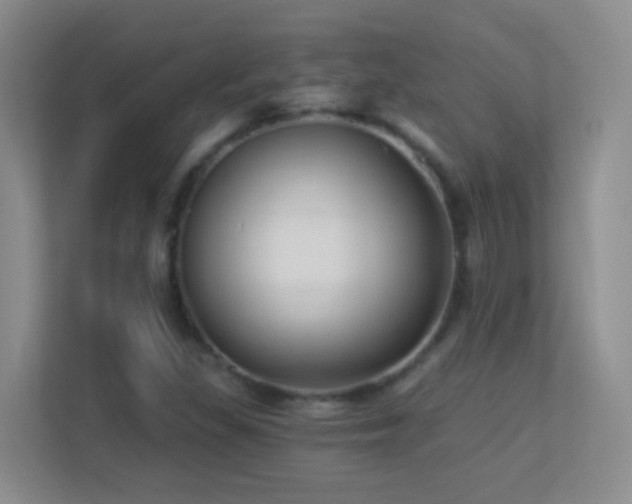 X0000113901309200909241429