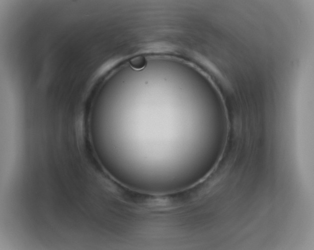 X0000113901315200909241429