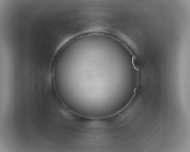 X0000113901316200909241429