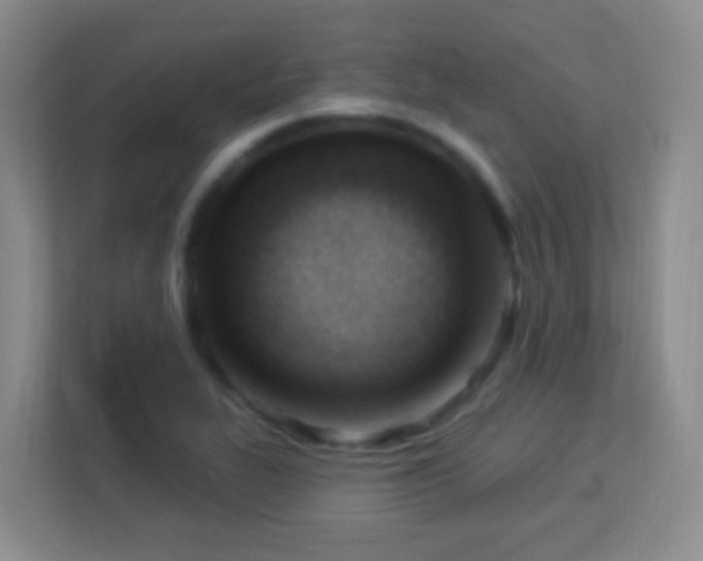 X0000113901319200909241429