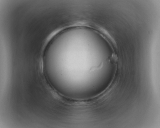 X0000113901320200909241429