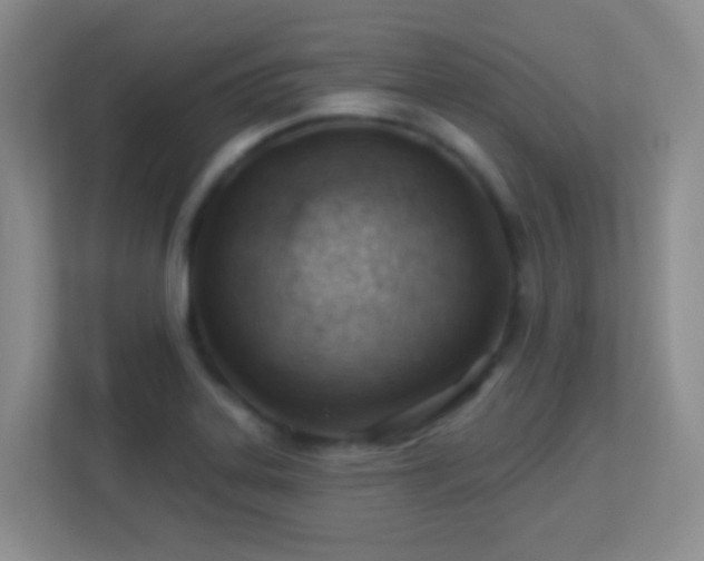 X0000113901323200909241429