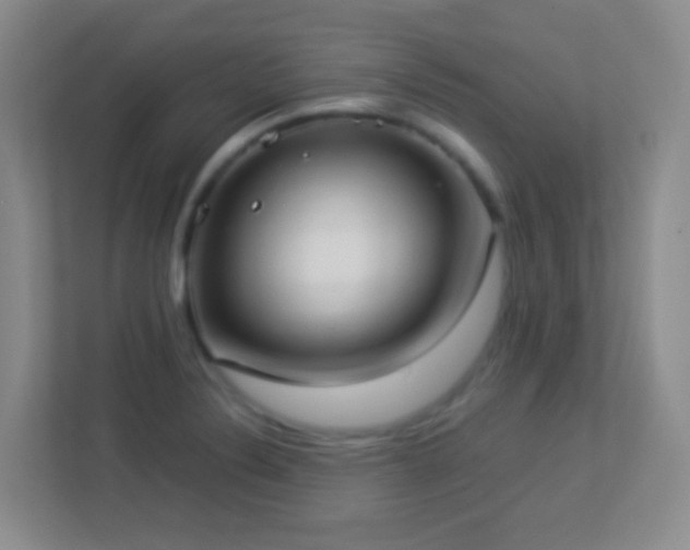 X0000113901324200909241429