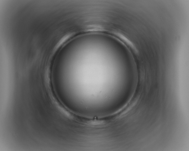 X0000113901325200909241429