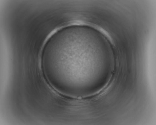 X0000113901326200909241429