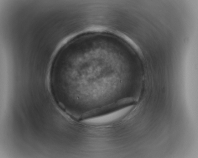 X0000113901327200909241429