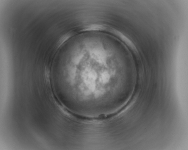X0000113901329200909241429