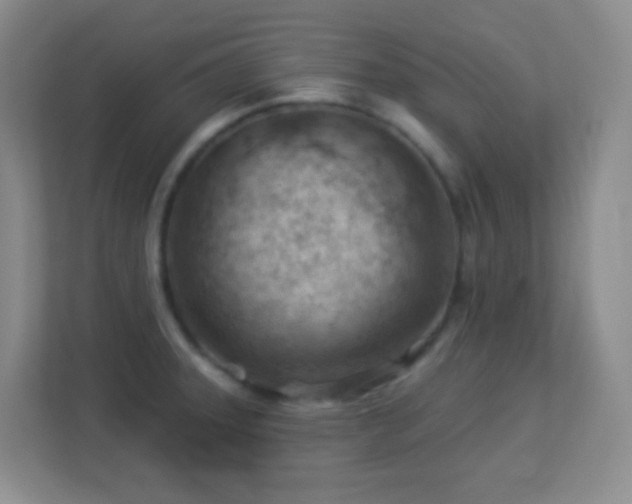 X0000113901331200909241429