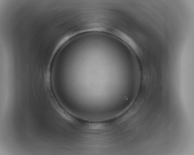 X0000113901332200909241429