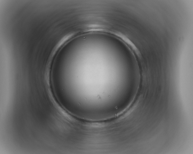 X0000113901333200909241429