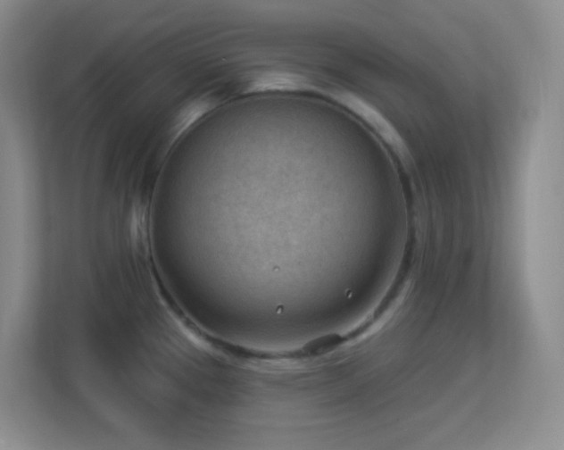 X0000113901337200909241430