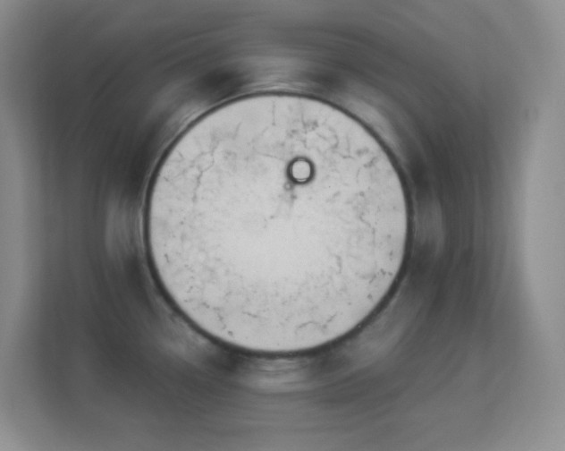 X0000113901338200909241430